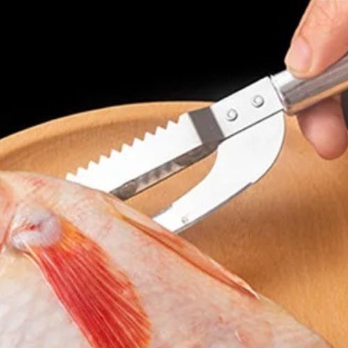 couteau-pour-poisson